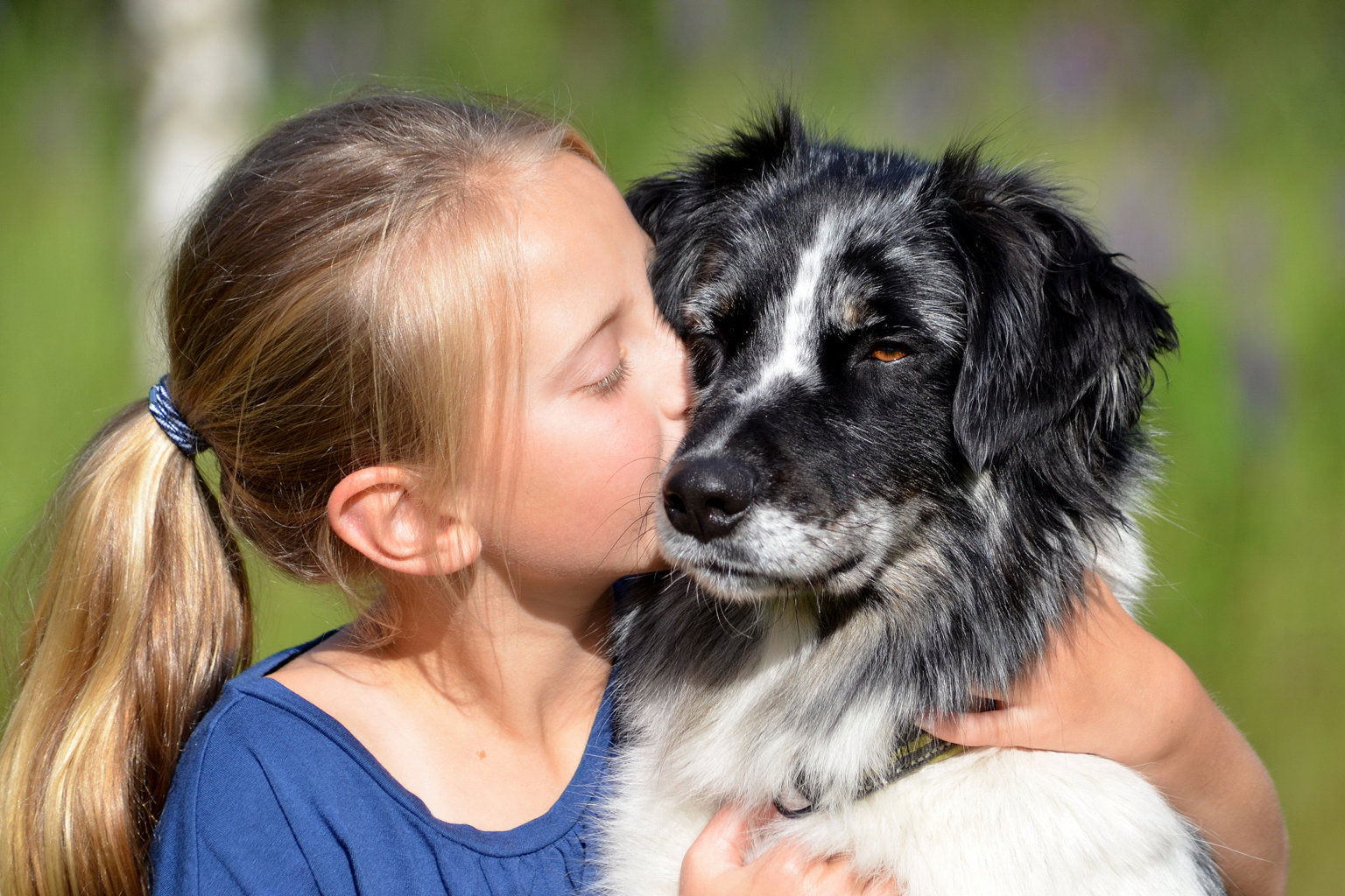 Flicka kramar om en australian shepherd.