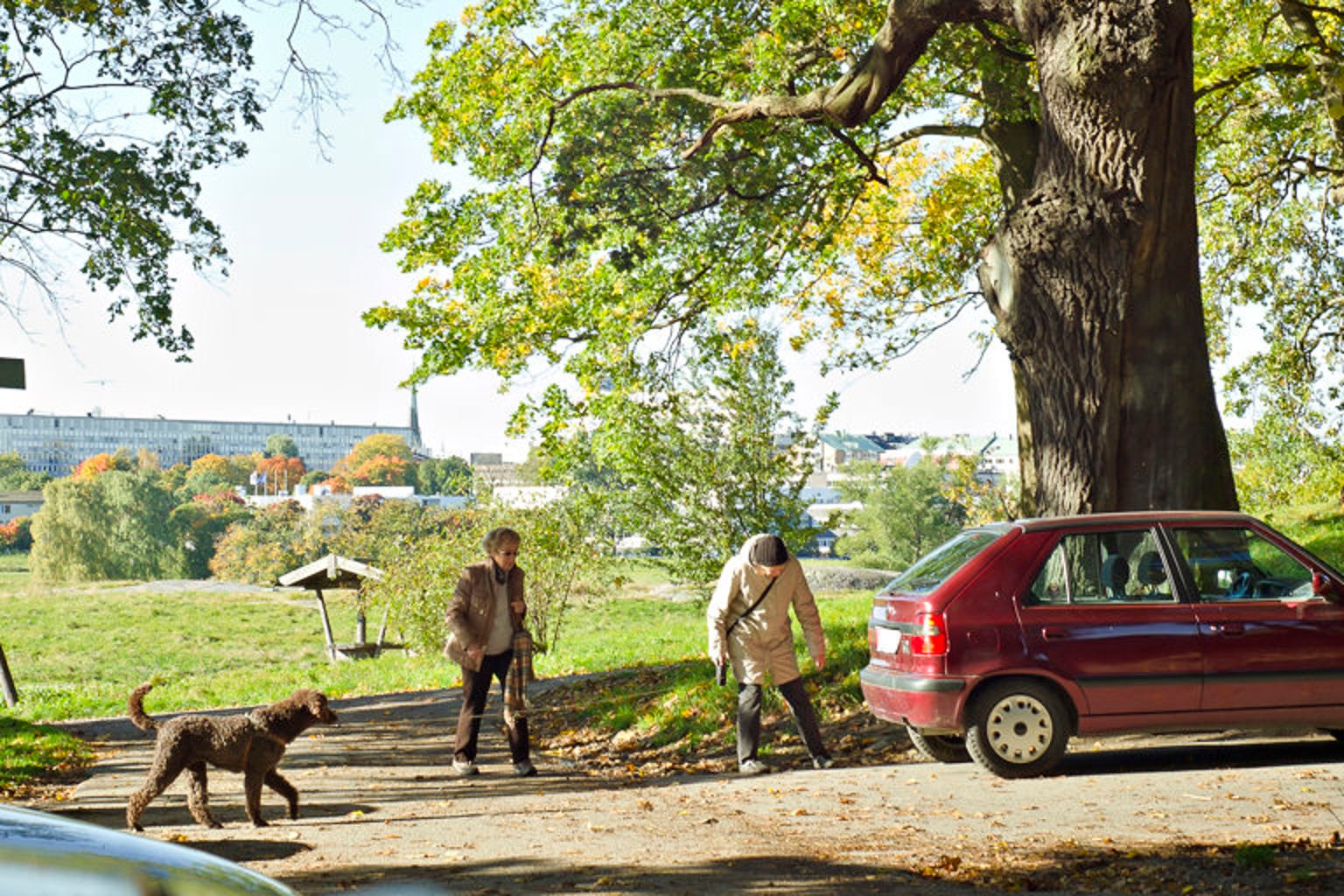 Personer som rastar en hund.