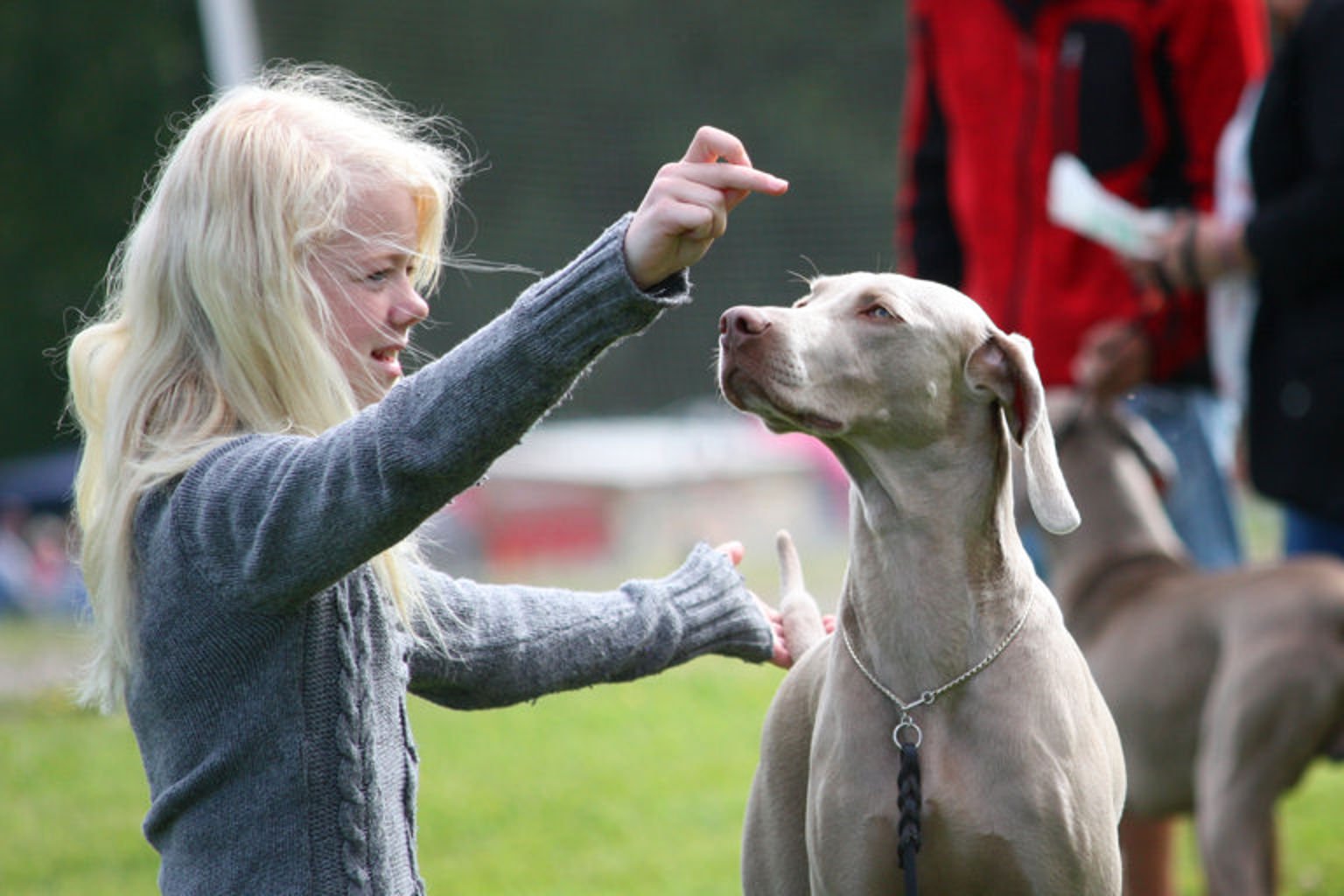 Flicka och hund övar på att stå fint.