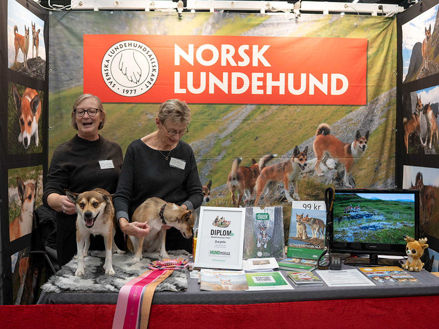 Montern för norsk lundehund.