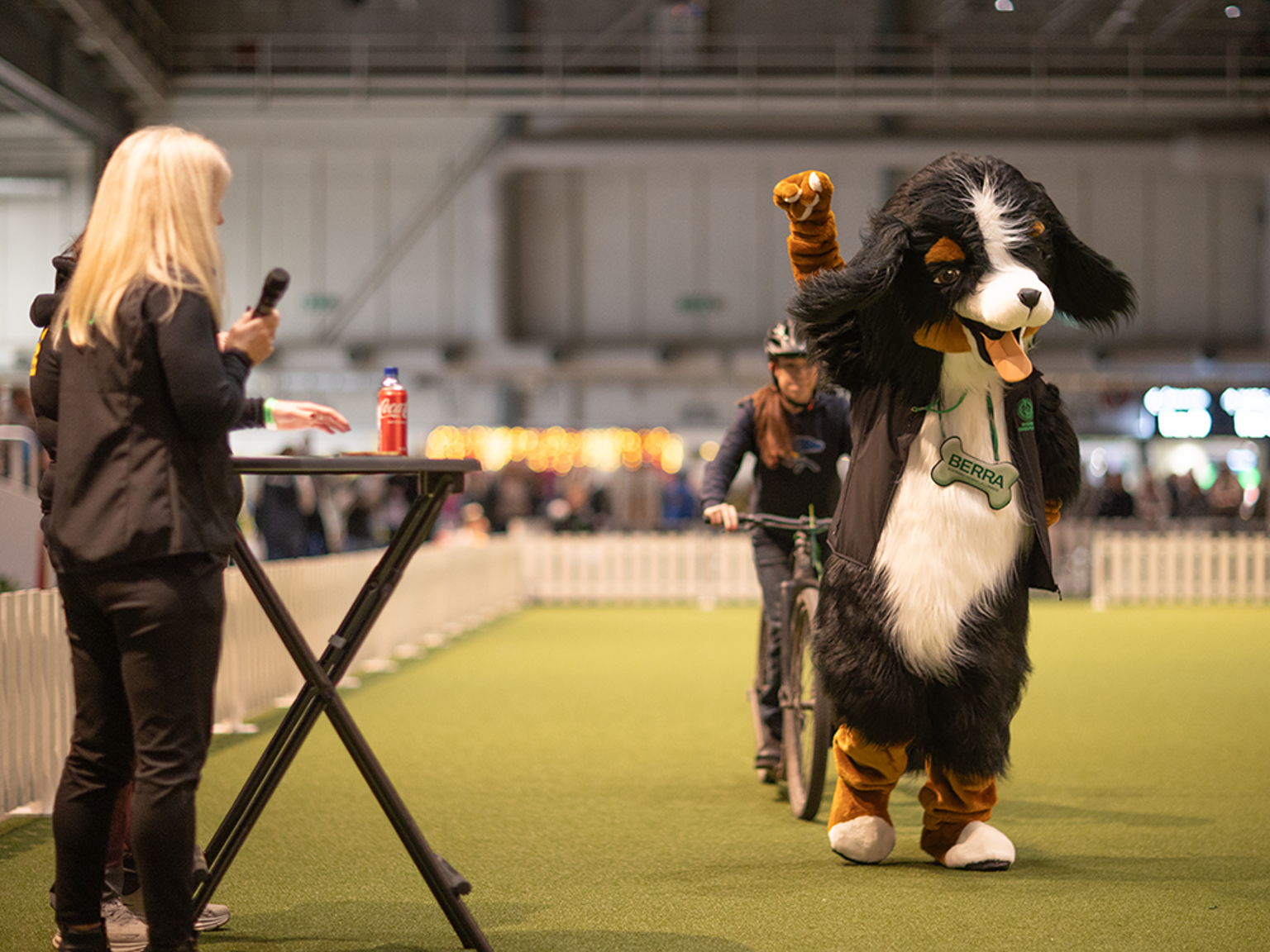 SKKs maskot Berra deltar på draghundsuppvisning.