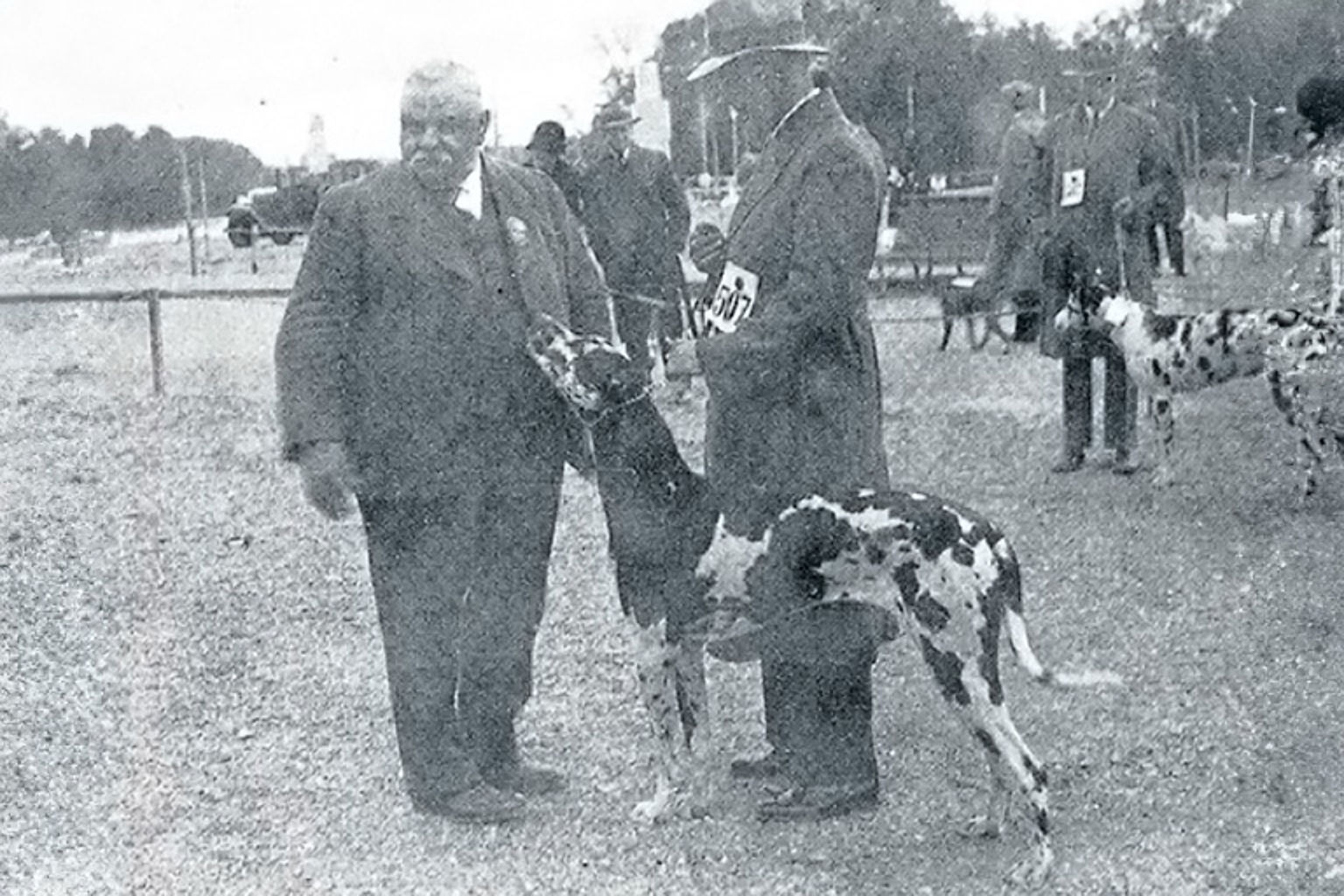 Engelsk domare står vid en grand danois år 1931,