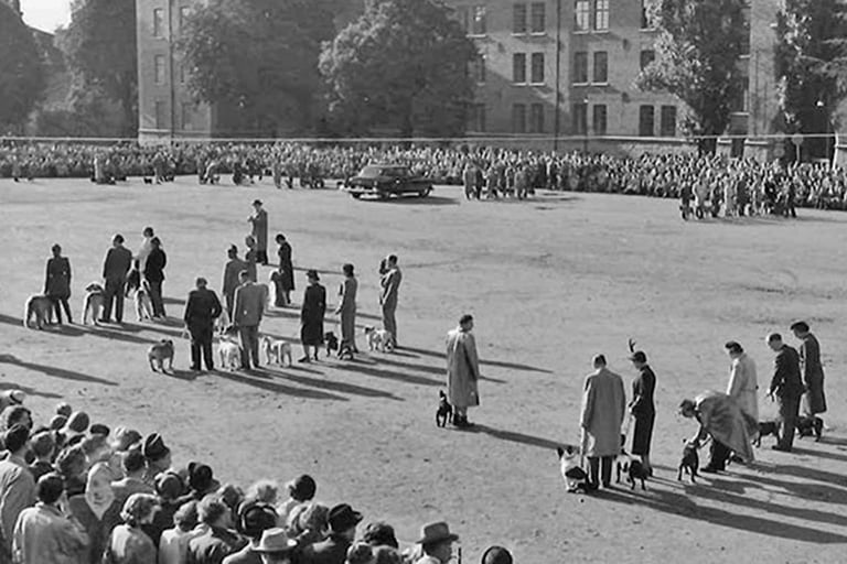 Finalringen år 1951.