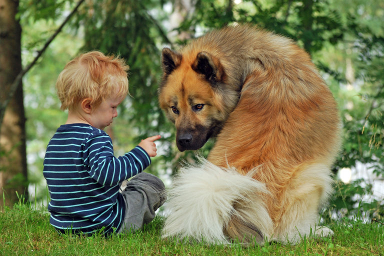 Barn och eurasier sitter ute på gräset.