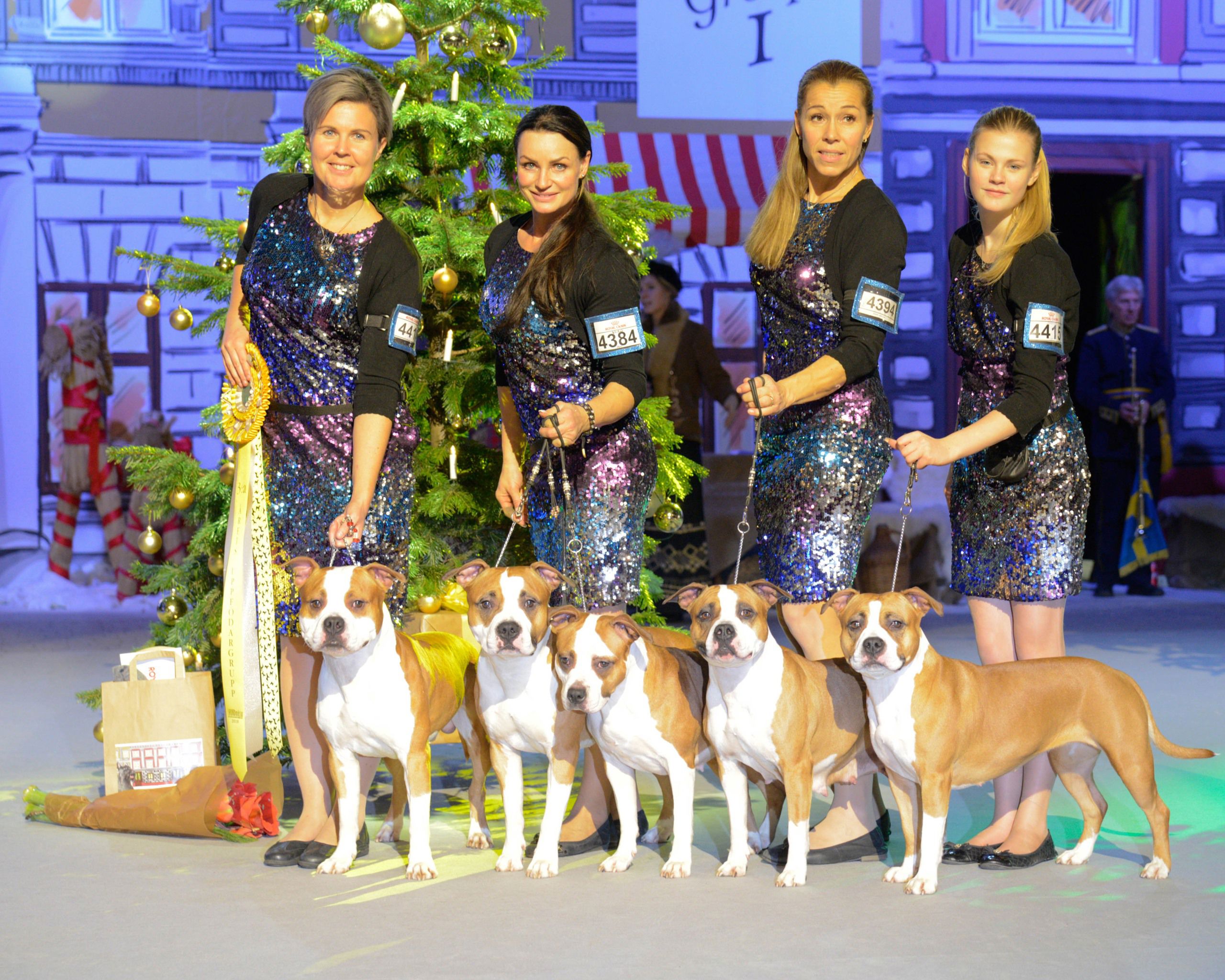 Hundar och handlers på prisutdelning i stora finalringen.