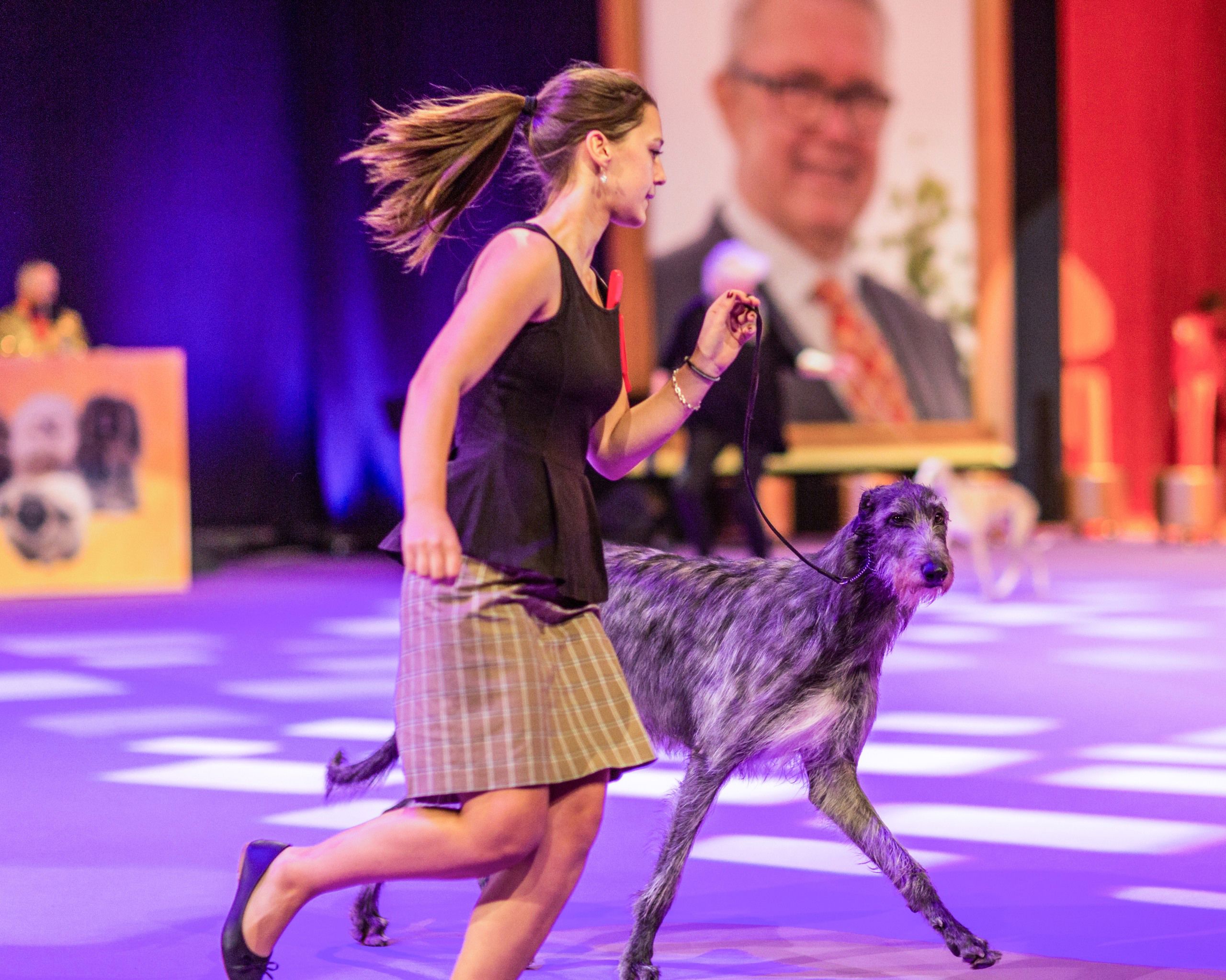 Dog and handler in the show ring.