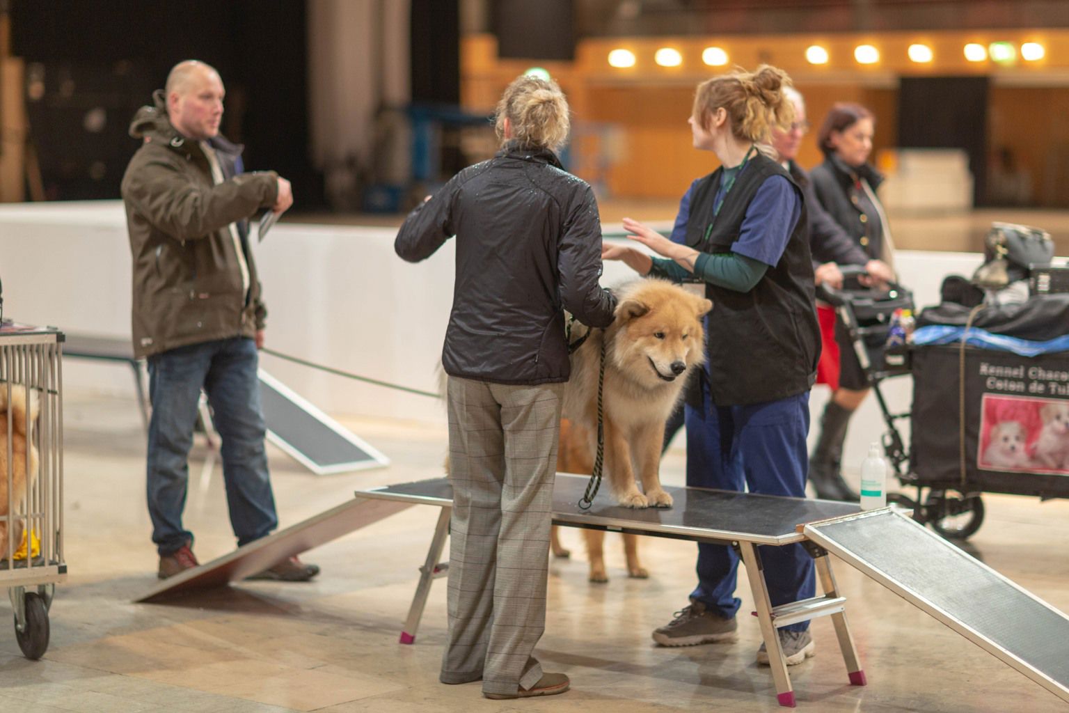 Veterinärbesiktning på Stockholm Hundmässa