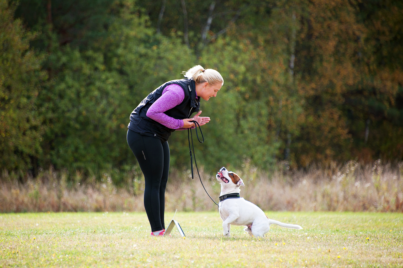 Matte och hund tränar.