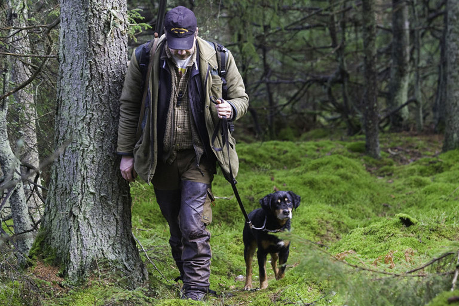 Jägare är ute i skogen med sin smålandsstövare.