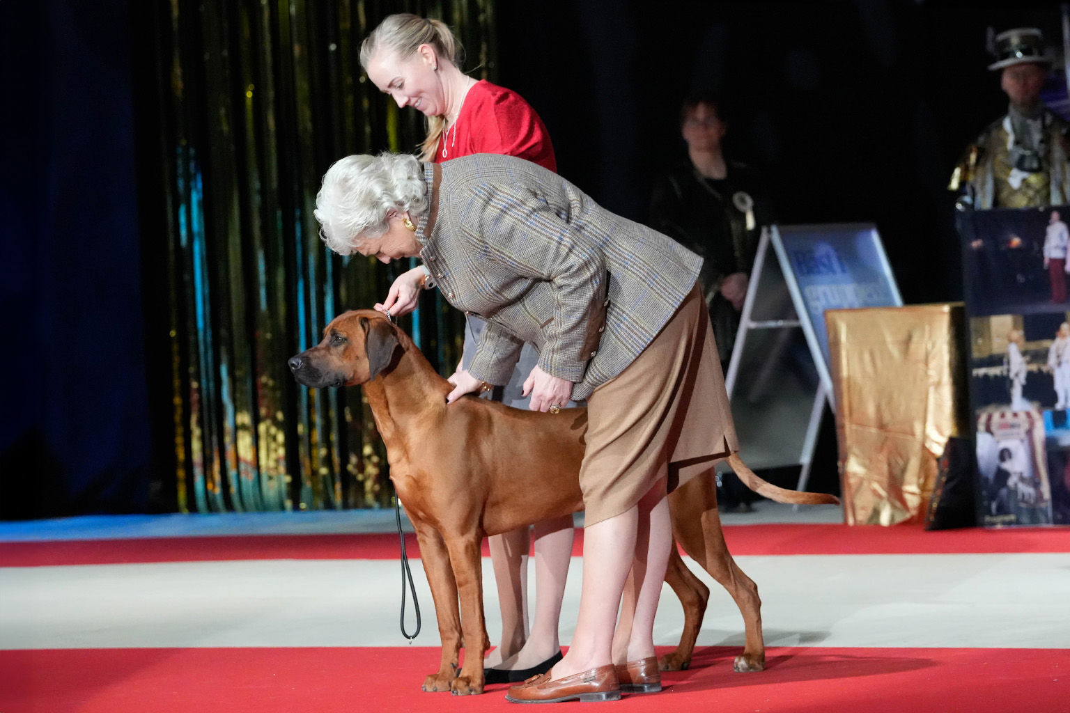 Domare kollar igenom hund i den stora finalringen på Stockholm Hundmässa.