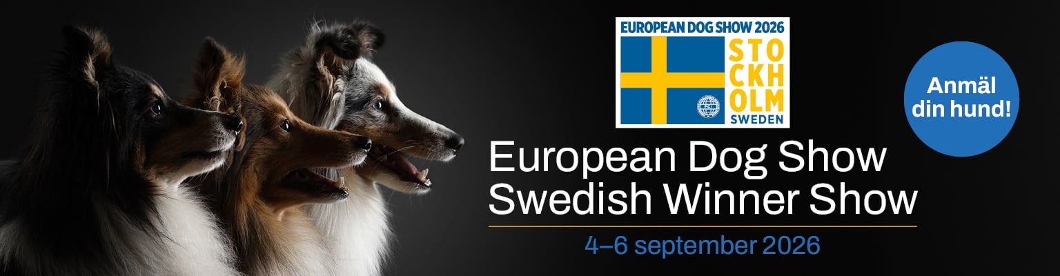 European Dog Show