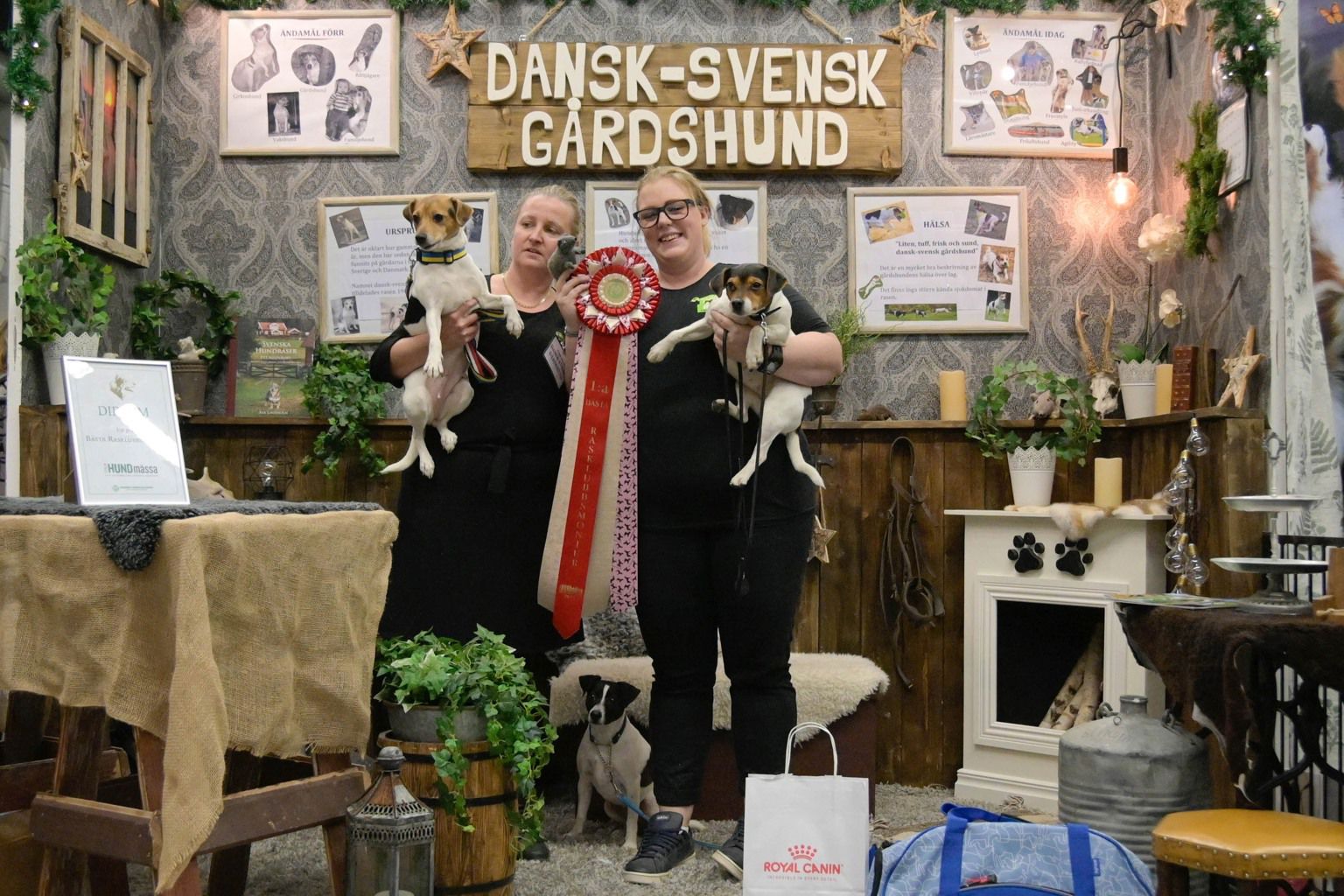 Dansk-svensk gårdshunds monter på Hundrastorget.