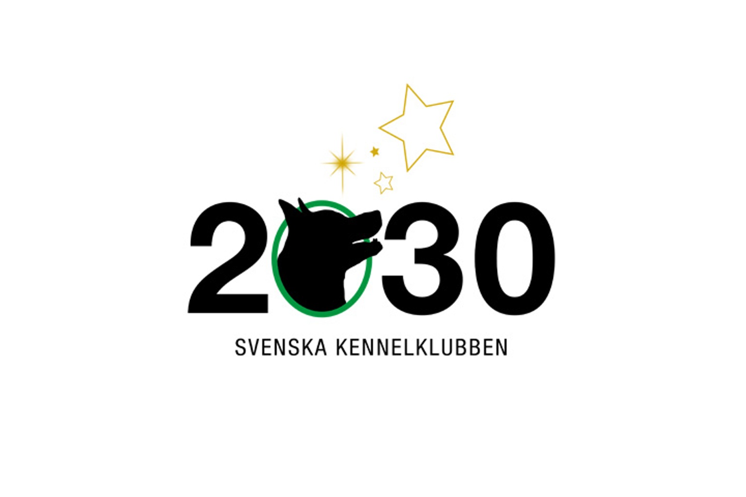SKK 2030