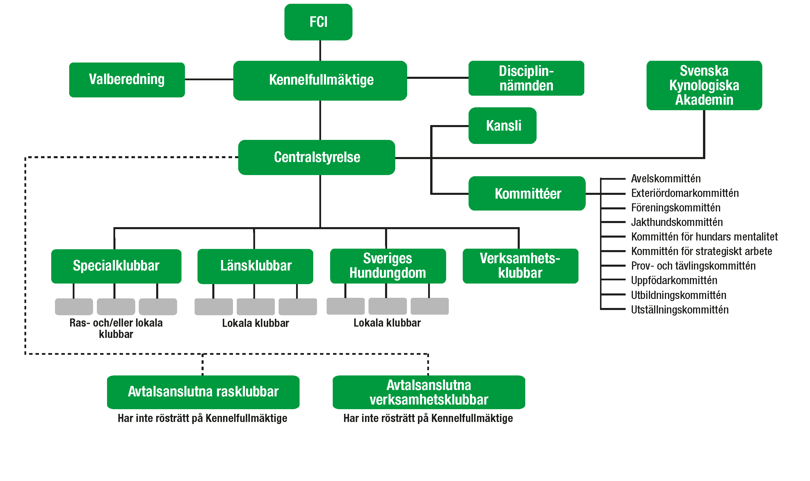 Svenska Kennelklubbens organisationsschema