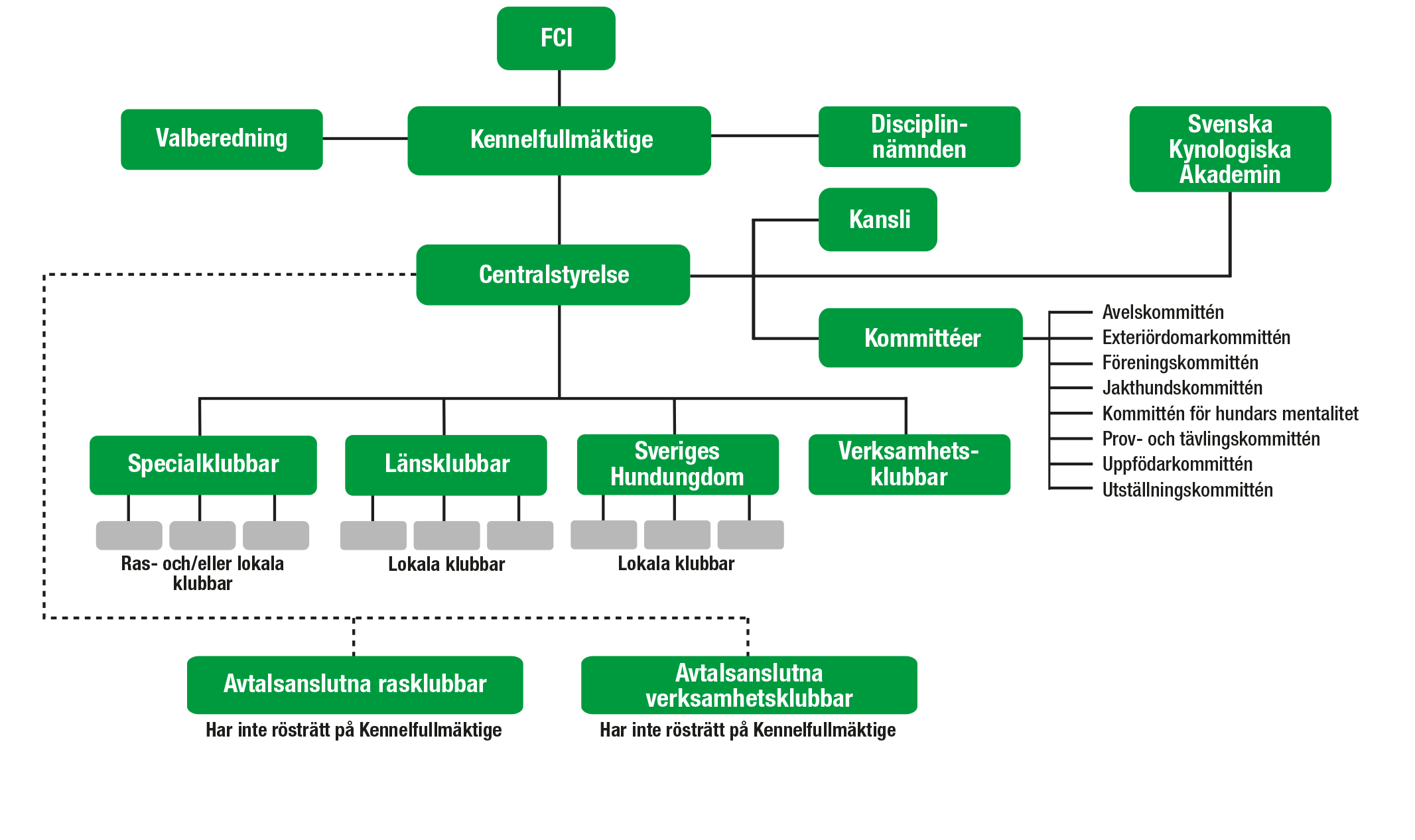 Svenska Kennelklubbens organisationsschema